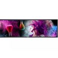 SLINE-PPDS-PHILIPS-streched2