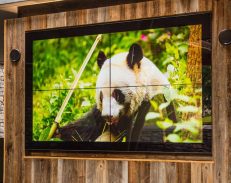 Video Wall