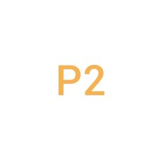 P2