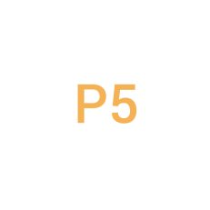 P5