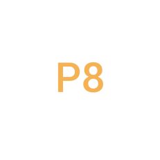 P8